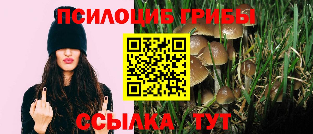 Псилоцибиновые грибы Magic Shrooms Нижневартовск