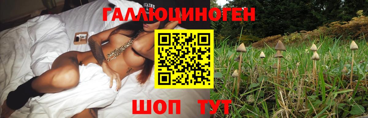 Галлюциногенные грибы Cubensis  Псилоцибиновые грибы мухоморы  Нижневартовск  Вход с VPN 